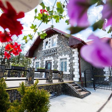 Royal Inn Busteni-Adults Only المظهر الخارجي الصورة