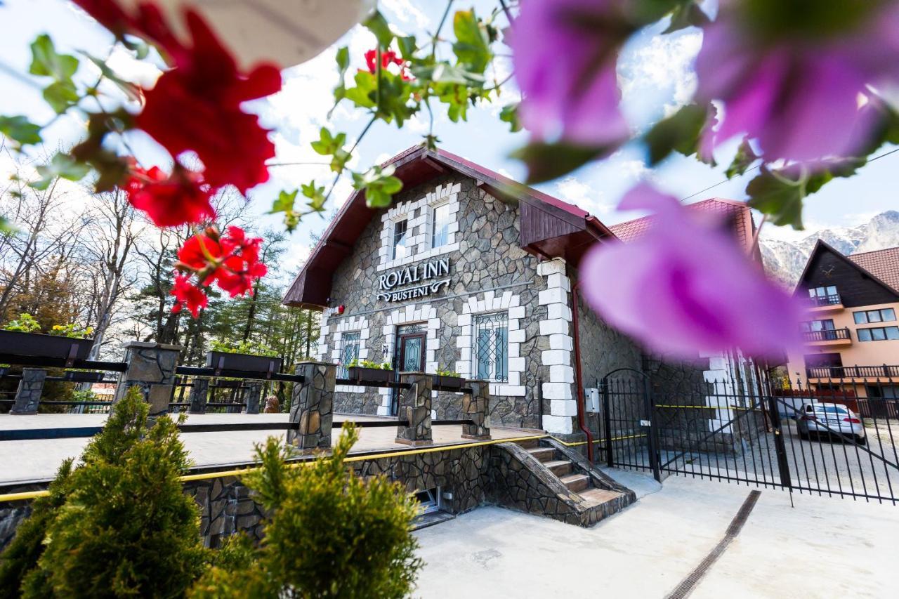 Royal Inn Busteni-Adults Only المظهر الخارجي الصورة