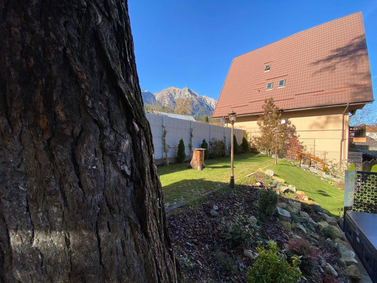 Royal Inn Busteni-Adults Only المظهر الخارجي الصورة